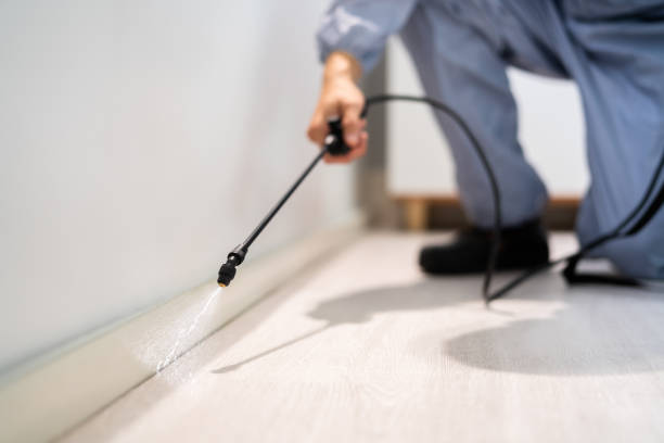 Licensed Cockroach Control service in Summerville, GA - Nex Pest Control