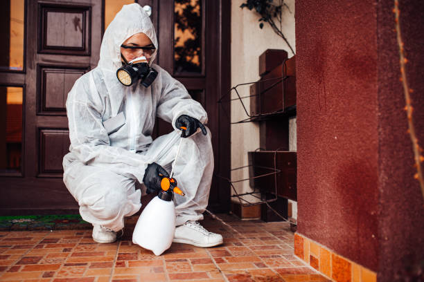 Reliable Cockroach Control contractor in Summerville, GA by Nex Pest Control
